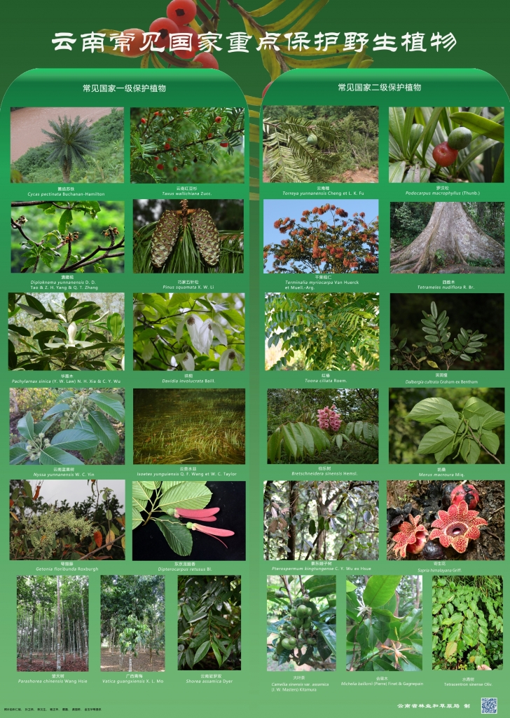 以案普法：：抑氐惚；；；ぶ参镒